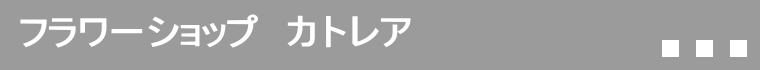 ヘッダーイメージ